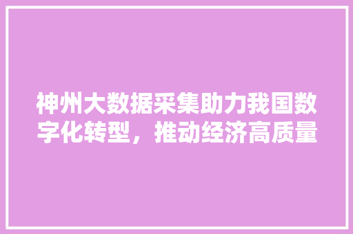 神州大数据采集助力我国数字化转型，推动经济高质量发展