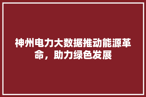 神州电力大数据推动能源革命，助力绿色发展