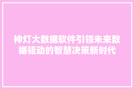 神灯大数据软件引领未来数据驱动的智慧决策新时代
