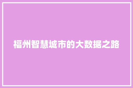 福州智慧城市的大数据之路
