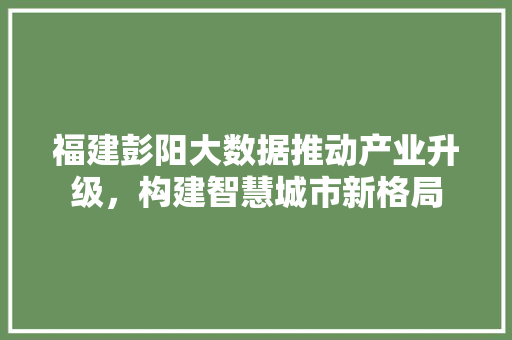 福建彭阳大数据推动产业升级，构建智慧城市新格局