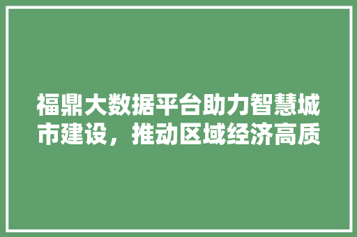 福鼎大数据平台助力智慧城市建设，推动区域经济高质量发展