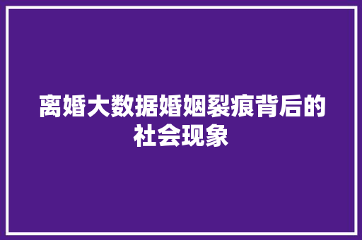 离婚大数据婚姻裂痕背后的社会现象  第1张