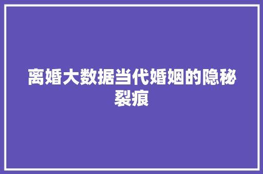 离婚大数据当代婚姻的隐秘裂痕  第1张