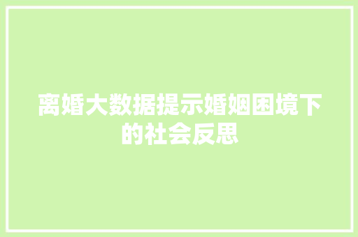 离婚大数据提示婚姻困境下的社会反思  第1张