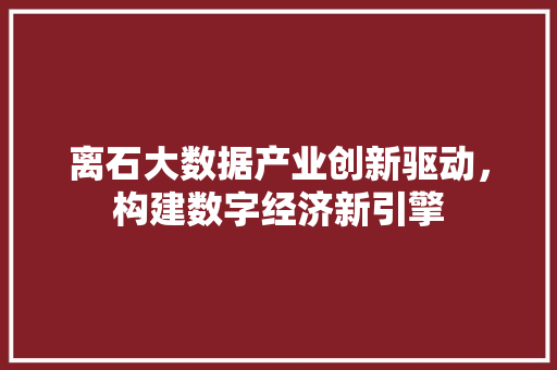 离石大数据产业创新驱动，构建数字经济新引擎  第1张
