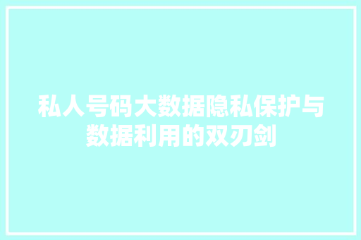 私人号码大数据隐私保护与数据利用的双刃剑  第1张