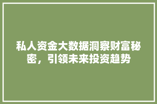 私人资金大数据洞察财富秘密，引领未来投资趋势  第1张