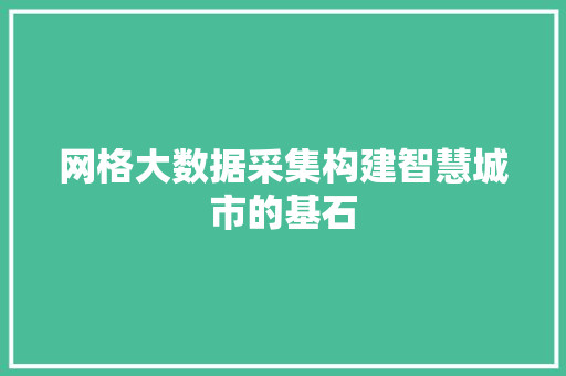 网格大数据采集构建智慧城市的基石