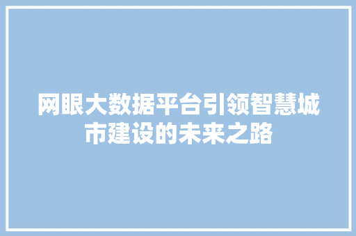 网眼大数据平台引领智慧城市建设的未来之路  第1张