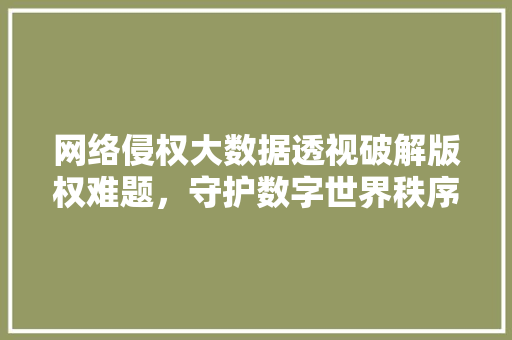 网络侵权大数据透视破解版权难题，守护数字世界秩序