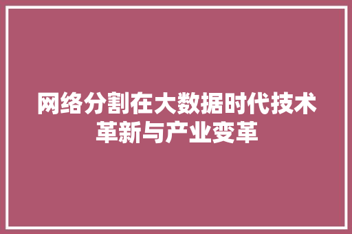 网络分割在大数据时代技术革新与产业变革