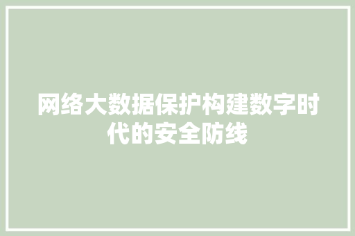 网络大数据保护构建数字时代的安全防线  第1张