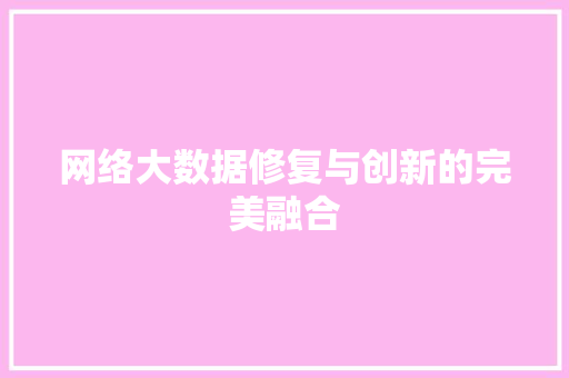 网络大数据修复与创新的完美融合