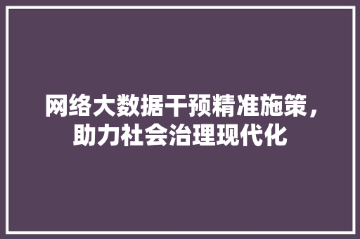 网络大数据干预精准施策，助力社会治理现代化