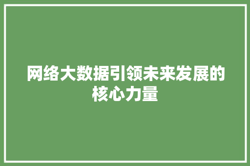 网络大数据引领未来发展的核心力量  第1张