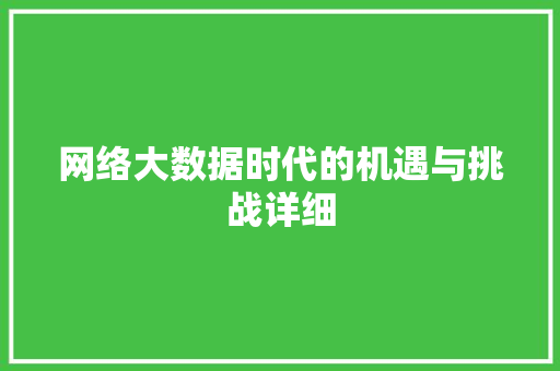 网络大数据时代的机遇与挑战详细  第1张
