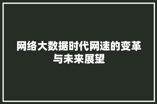 网络大数据时代网速的变革与未来展望  第1张