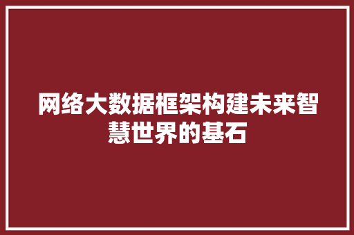 网络大数据框架构建未来智慧世界的基石