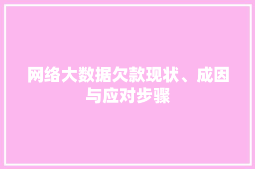 网络大数据欠款现状、成因与应对步骤