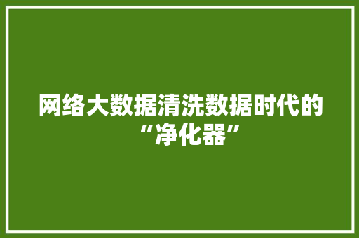 网络大数据清洗数据时代的“净化器”  第1张