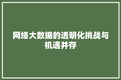 网络大数据的透明化挑战与机遇并存  第1张
