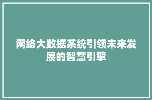 网络大数据系统引领未来发展的智慧引擎
