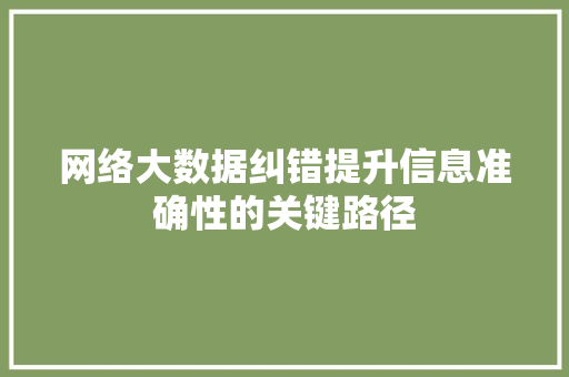 网络大数据纠错提升信息准确性的关键路径