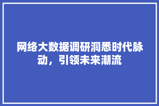 网络大数据调研洞悉时代脉动，引领未来潮流  第1张