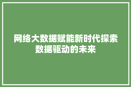 网络大数据赋能新时代探索数据驱动的未来  第1张