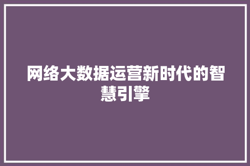 网络大数据运营新时代的智慧引擎  第1张