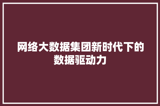 网络大数据集团新时代下的数据驱动力