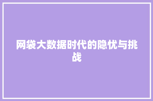 网袋大数据时代的隐忧与挑战  第1张