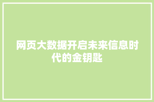 网页大数据开启未来信息时代的金钥匙