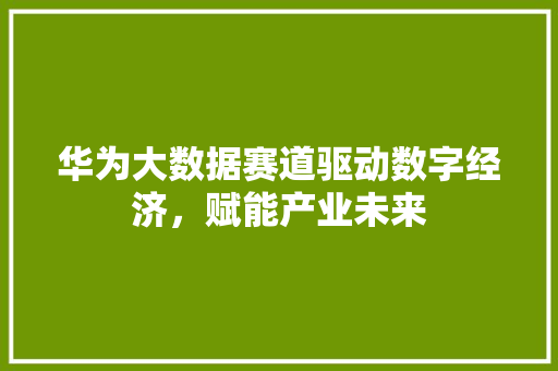 华为大数据赛道驱动数字经济，赋能产业未来  第1张