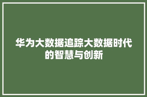 华为大数据追踪大数据时代的智慧与创新  第1张
