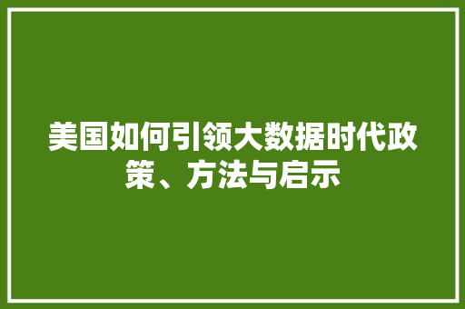 美国如何引领大数据时代政策、方法与启示  第1张