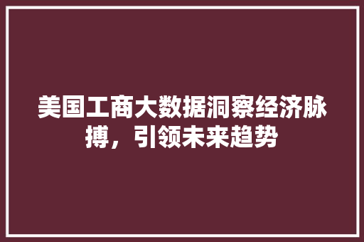 美国工商大数据洞察经济脉搏，引领未来趋势