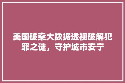 美国破案大数据透视破解犯罪之谜，守护城市安宁