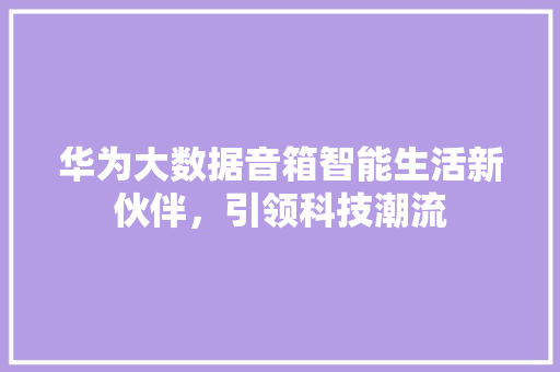 华为大数据音箱智能生活新伙伴，引领科技潮流