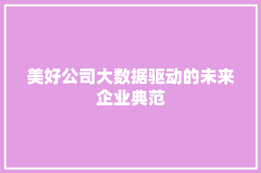美好公司大数据驱动的未来企业典范  第1张