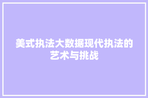 美式执法大数据现代执法的艺术与挑战