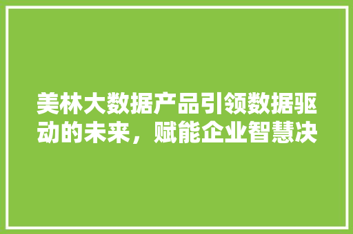 美林大数据产品引领数据驱动的未来，赋能企业智慧决策  第1张