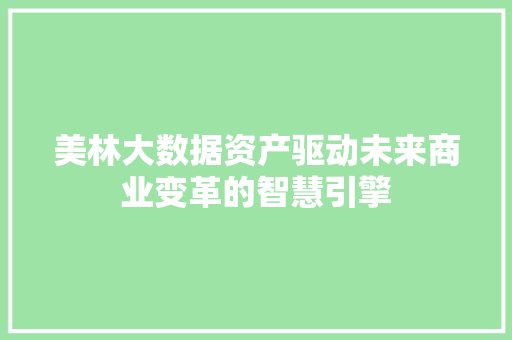 美林大数据资产驱动未来商业变革的智慧引擎