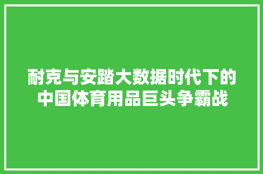 耐克与安踏大数据时代下的中国体育用品巨头争霸战