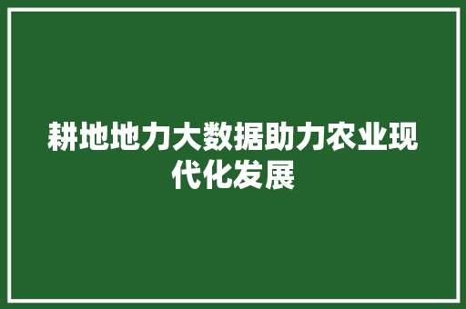 耕地地力大数据助力农业现代化发展  第1张