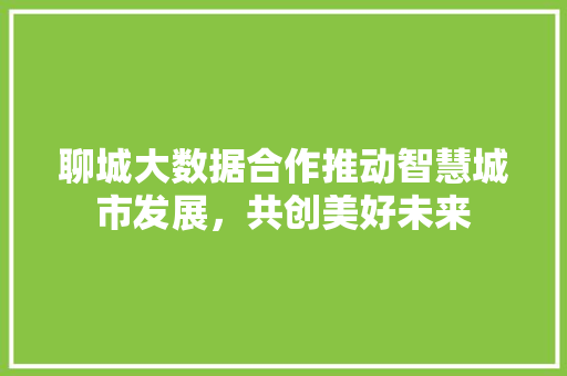 聊城大数据合作推动智慧城市发展，共创美好未来  第1张