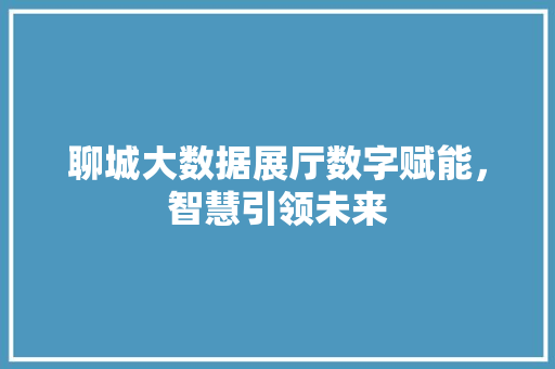 聊城大数据展厅数字赋能，智慧引领未来  第1张
