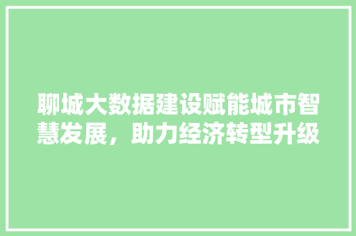 聊城大数据建设赋能城市智慧发展，助力经济转型升级  第1张
