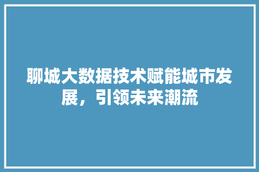 聊城大数据技术赋能城市发展，引领未来潮流  第1张